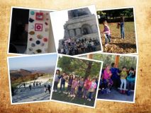 collage1.jpg