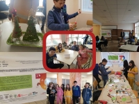 Шестокласници от клуб  за занимания по интереси „Знам и мога“ към ОУ „Димитър Благоев“ участваха в изработването на коледна украса от рециклирани материали
